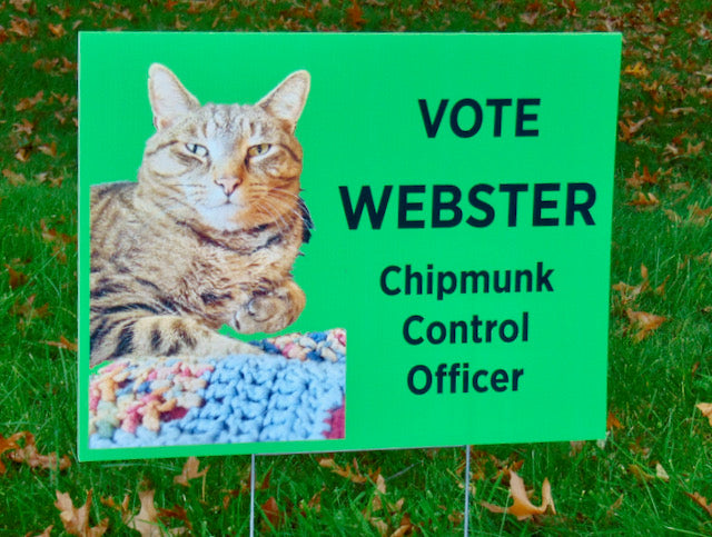 Webster, our office manager, has begun a political campaign