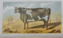 Load image into Gallery viewer, Transactions of the New York State Agricultural Society, Part I. Volume XXVII. - 1867