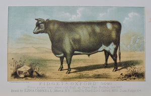 Transactions of the New York State Agricultural Society, Part I. Volume XXVII. - 1867