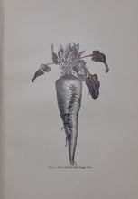 Load image into Gallery viewer, Fifty-sixth Annual Report of the New York State Agricultural Society, For the Year 1896