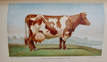 Load image into Gallery viewer, 1899 NYS Agricultural, Dairy, and Farmers Reports w/ color plates