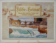 Load image into Gallery viewer, Fische und Heimat 29 Color Prints of Fish, by Richard Wagner, Munich