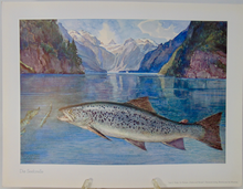 Load image into Gallery viewer, Fische und Heimat 29 Color Prints of Fish, by Richard Wagner, Munich