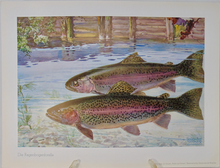 Load image into Gallery viewer, Fische und Heimat 29 Color Prints of Fish, by Richard Wagner, Munich