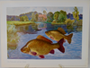 Fische und Heimat 29 Color Prints of Fish, by Richard Wagner, Munich