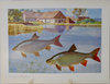 Fische und Heimat 29 Color Prints of Fish, by Richard Wagner, Munich