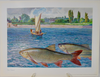 Fische und Heimat 29 Color Prints of Fish, by Richard Wagner, Munich