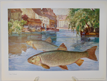 Load image into Gallery viewer, Fische und Heimat 29 Color Prints of Fish, by Richard Wagner, Munich