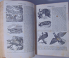 1840 Goodrich, A Pictorial Geography of the World, over 1,000 Illustrations