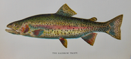 [COLOR FISH & BIRD PLATES] Report State Commissioners of Fisheries for year 1896